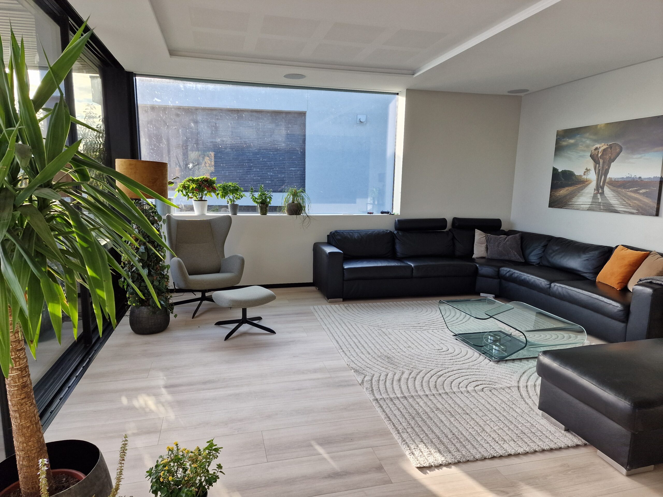 20241015_154032 Stue, Finstue, Spisestue, TV-Stue innredning med integrert lyd og bilde system med innfelte arkitektur høyttalere